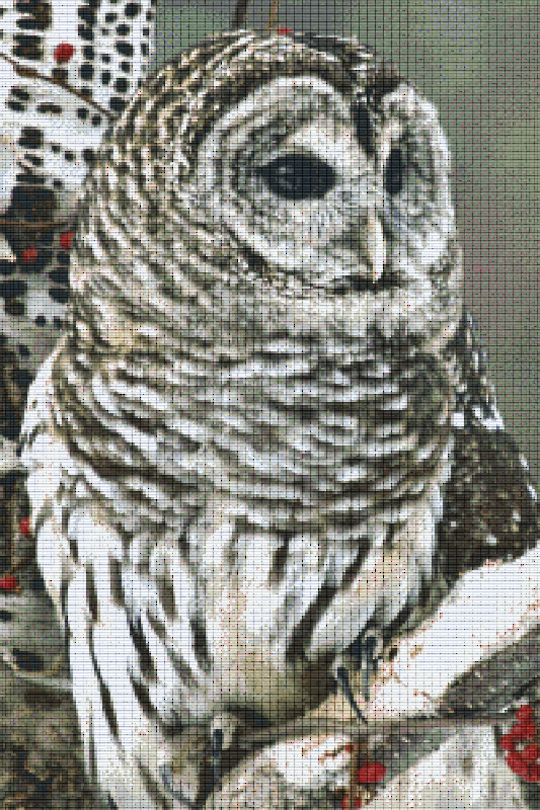 Owl Thirty [30] Baseplate PixelHobby Mini-mosaic Art Kit